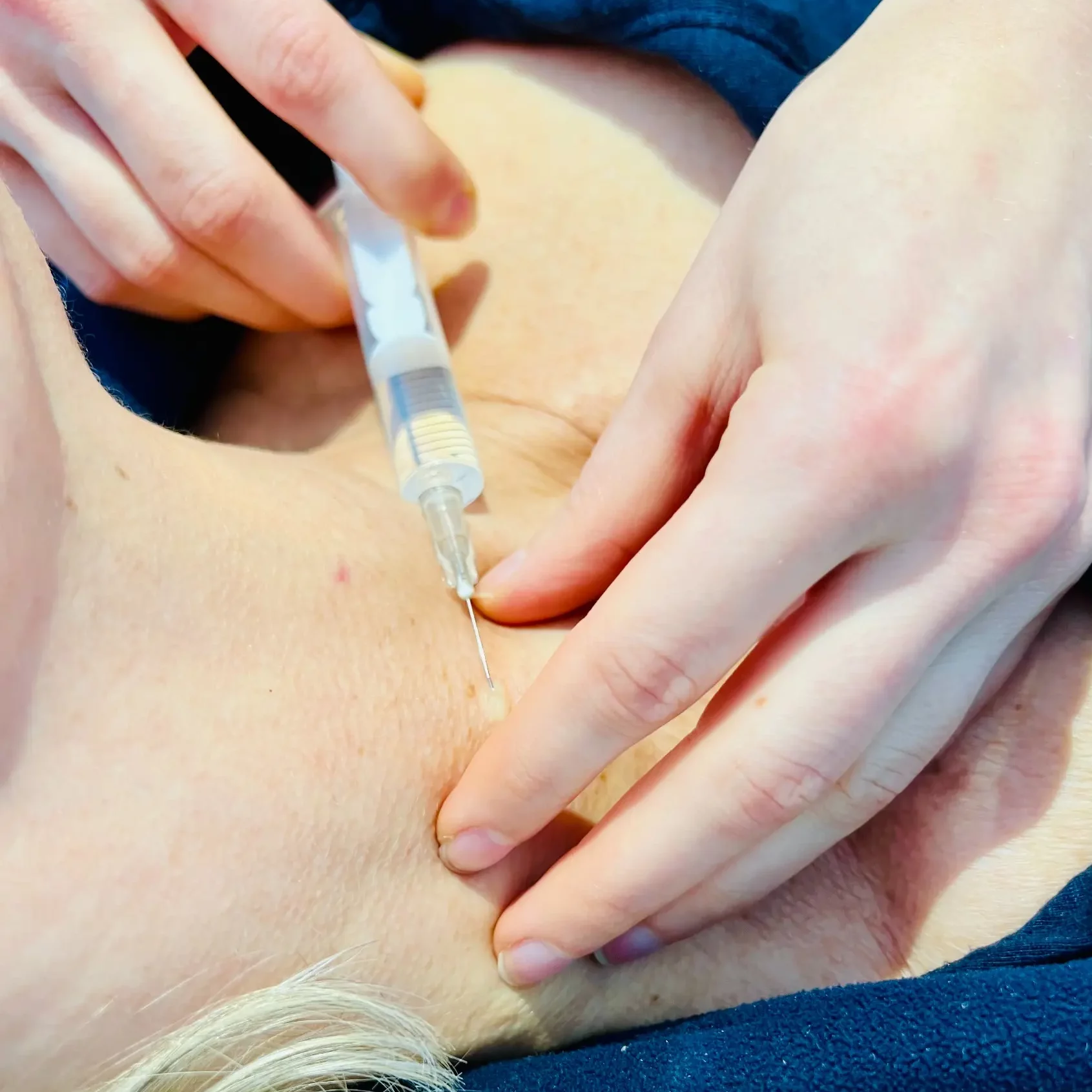 Injektionstherapie bei Julia Busching in Koblenz